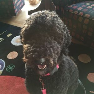 Meet your Posher, Linda